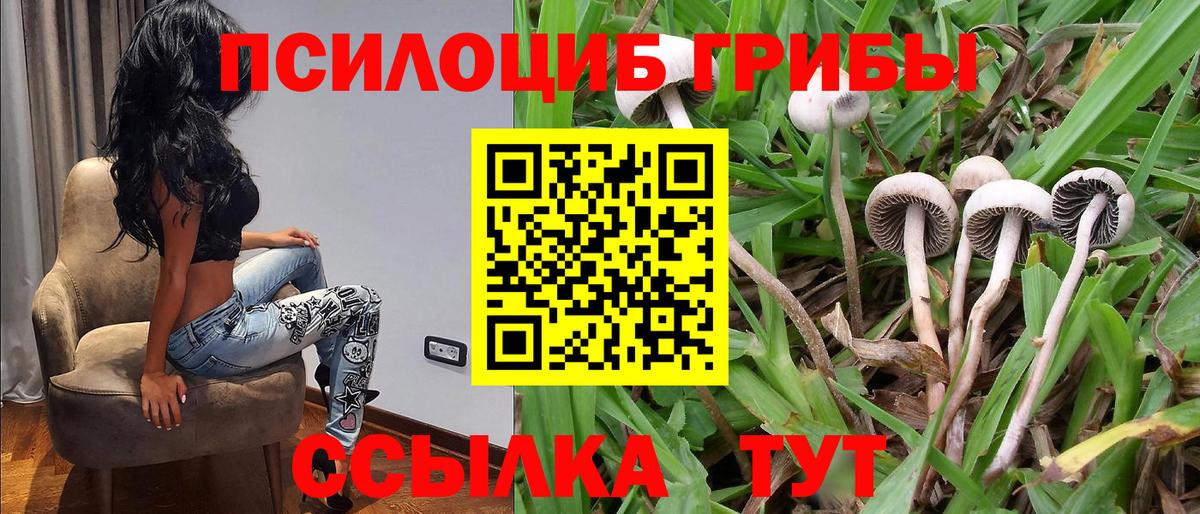 Псилоцибиновые грибы прущие грибы Гусиноозёрск