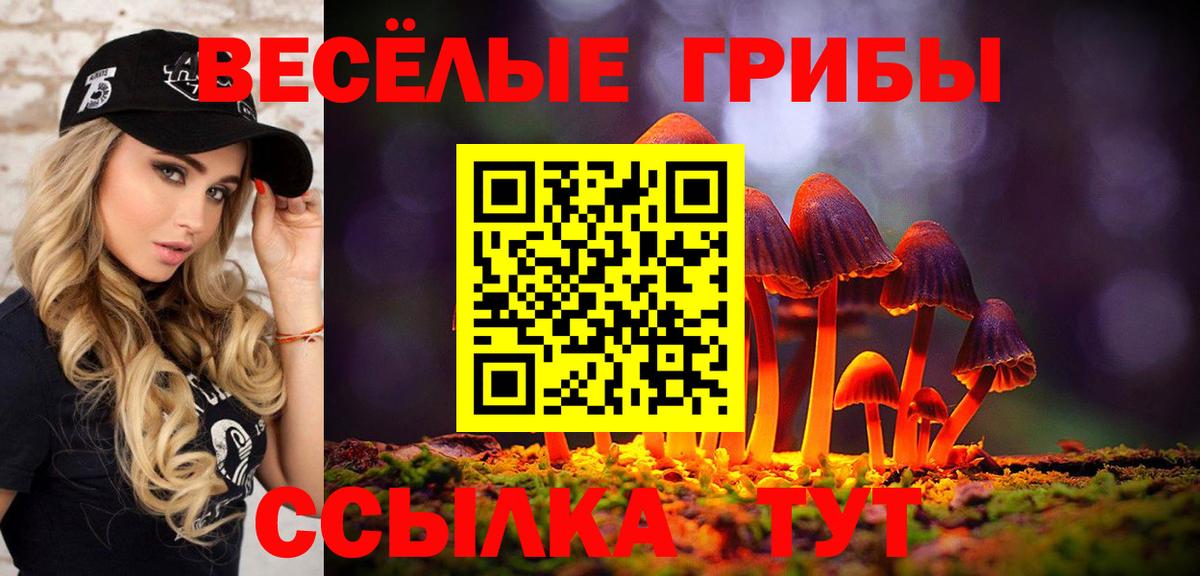 Гусиноозёрск  Псилоцибиновые грибы мухоморы  Вход с VPN  Галлюциногенные грибы Magic Shrooms 